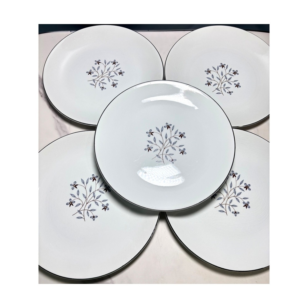 Salem International Ironstone Whimsey Dinner Plates Set of 5 Blue Floral England